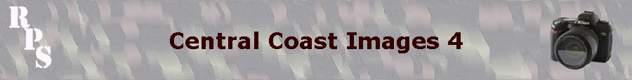 Central Coast Images 4