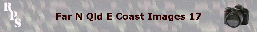 Far N Qld E Coast Images 17