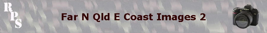 Far N Qld E Coast Images 2