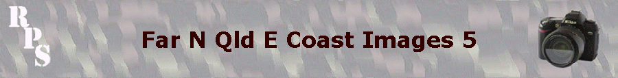 Far N Qld E Coast Images 5