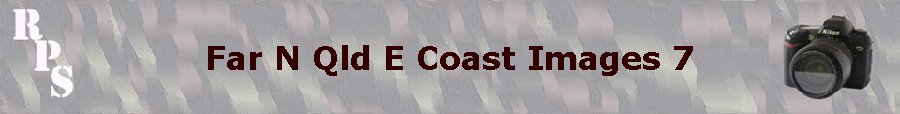 Far N Qld E Coast Images 7