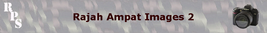 Rajah Ampat Images 2