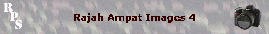 Rajah Ampat Images 4