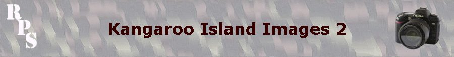 Kangaroo Island Images 2