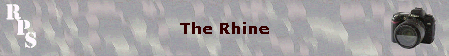 The Rhine