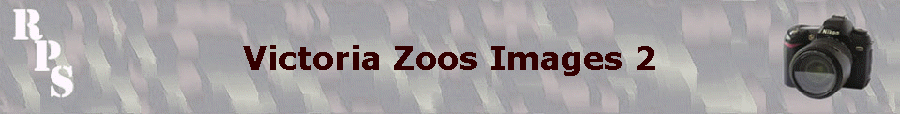 Victoria Zoos Images 2